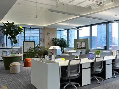 Our Office