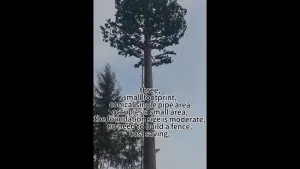 Camouflaged Tower