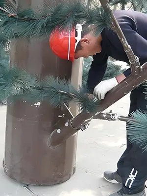 Connection check